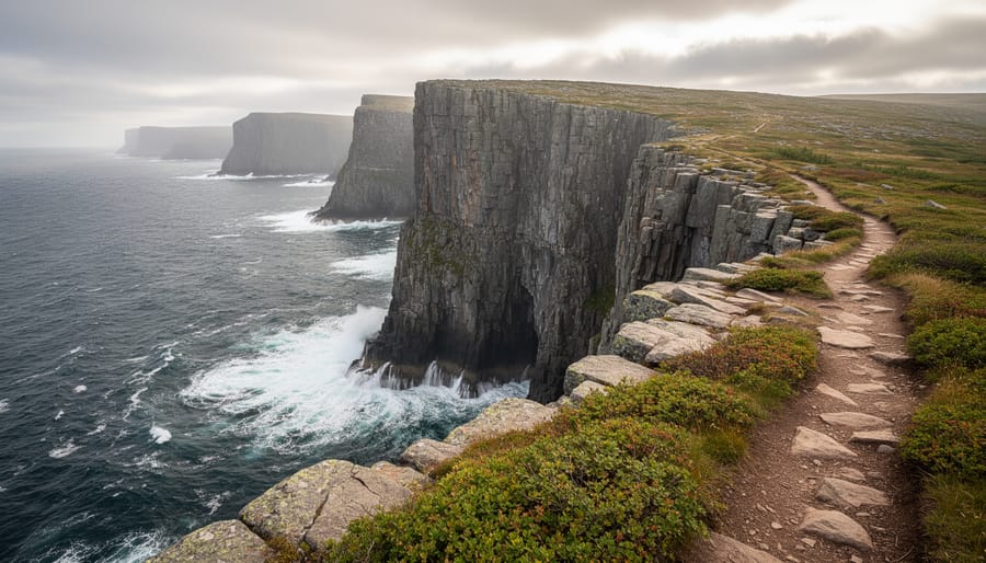 A coastal cliffside hiking trail along the Atlantic with waves and seabirds on the rocks in Newfoundland.