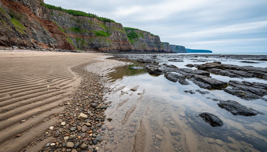 Hikers walking on exposed rock along the Bay of Fundy shoreline at low tide